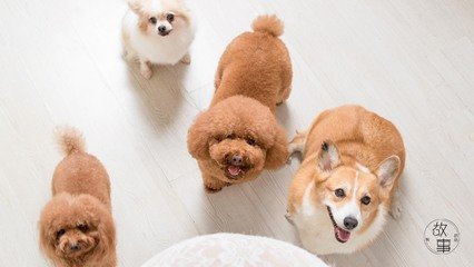 Bitcoin钱包安卓版